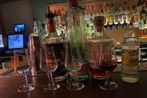 Polsk gin-smakingstur i Gdansk