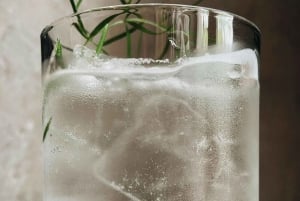 Polsk gin-smakingstur i Gdansk