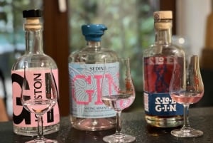 Polsk gin-smakingstur i Gdansk