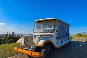 Retro Car Tour: Gdansk Viewpoint, Shipyard, Hidden Gems
