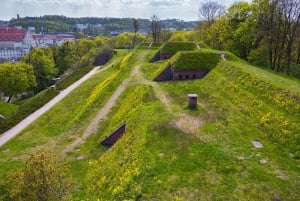 Retro Car Tour: Gdansk Viewpoint, Shipyard, Hidden Gems