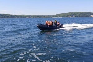 Speed boat Half Hour trip in Sopot. Speed up to 100 km/h