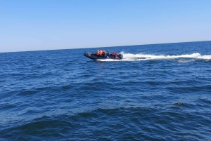 Получасовая поездка на скоростном катере в Сопот. Скорость до 100 км/ч
