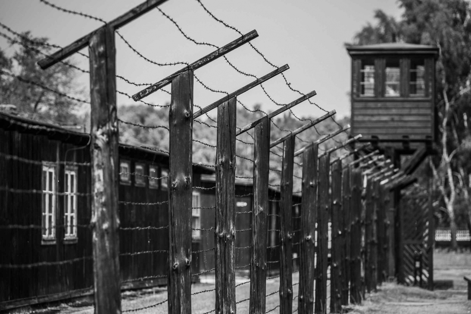 Stutthof Concentration Camp Half-Day Private Tour