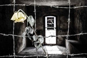 Privétour Stutthof Concentratiekamp van halve dag