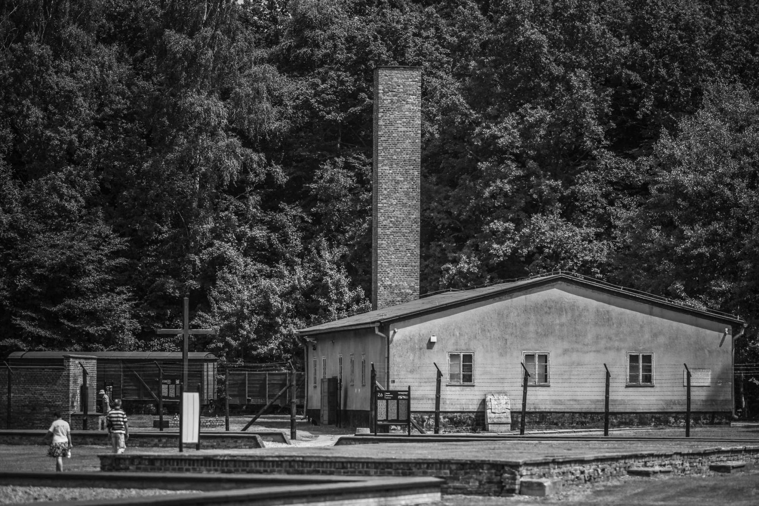 Stutthof: Concentration Camp Private Tour