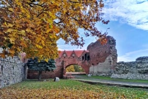 Torun - City of Copernicus: Day Tour from Gdansk or Poznan
