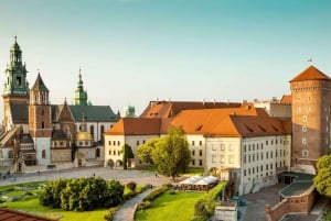 Varsovie : 2 jours d'excursion à Auschwitz, Wieliczka et Cracovie