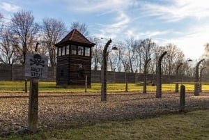 Warszawa: 2-dagers utflukt til Auschwitz, Wieliczka og Krakow