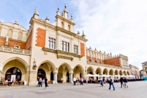 Warschau: 2 Daagse Auschwitz en Wieliczka en Krakau Tour