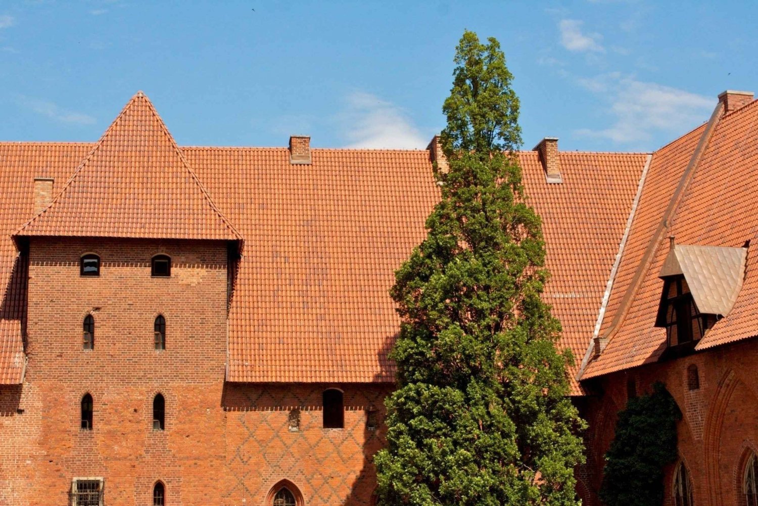 Warsaw: Castle of the Teutonic Oder in Malbork Full Day Tour