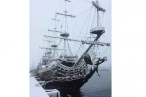 Gdynia: Tour del porto di Gdynia in nave galeone