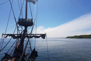 Gdynia : Visite du port de Gdynia en galion