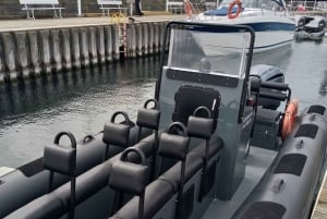 Jedna z najszybszych łodzi na Zatoce Gdańskiej. Koniecznie sprawdź! w Sopocie