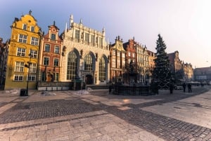 Private Westerplatte Tour by Car or Cruise Transport