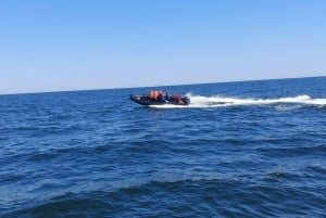 Speed boat Half Hour trip in Sopot. Speed up to 100 km/h