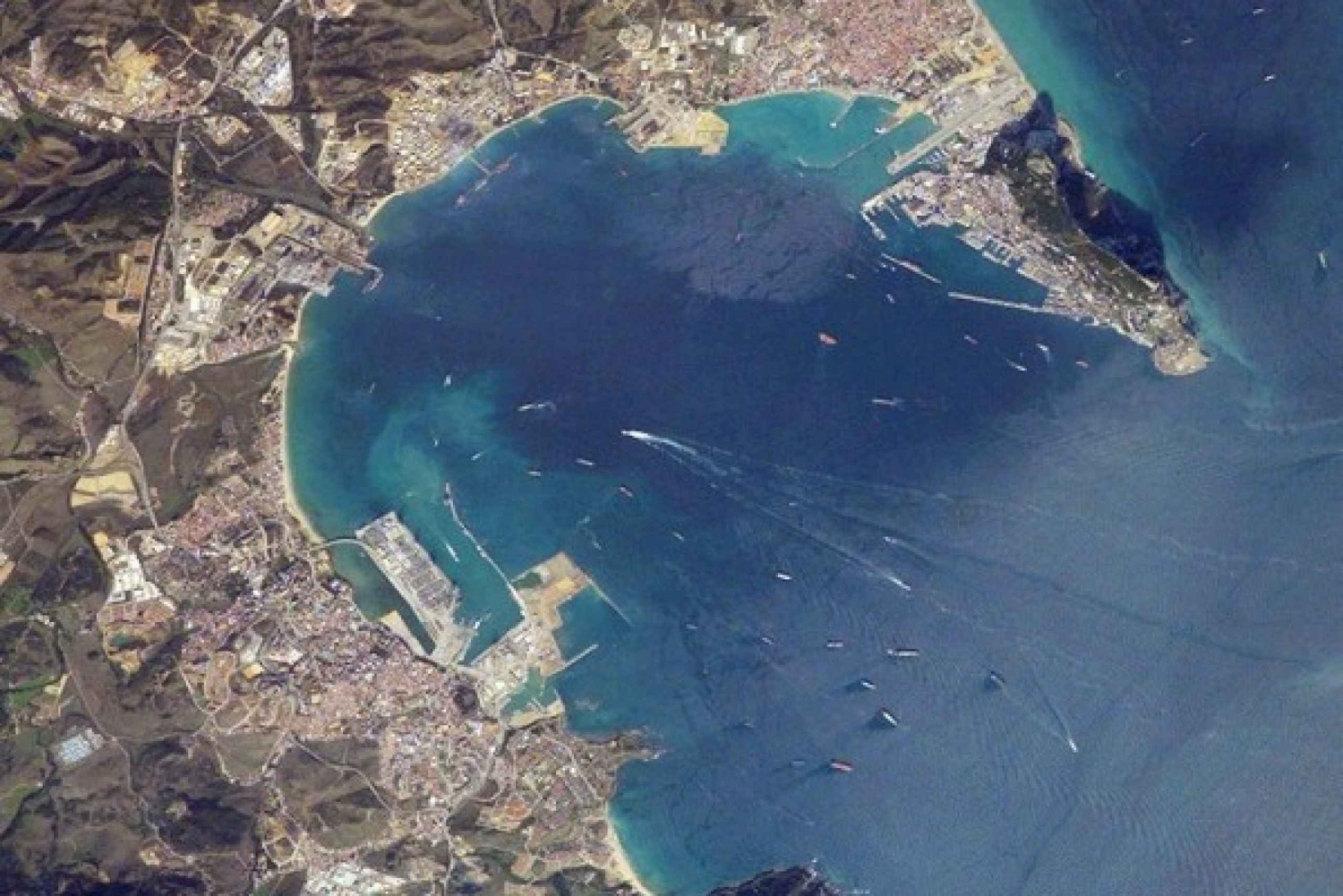 Bay of Gibraltar: Dolphin Cruise