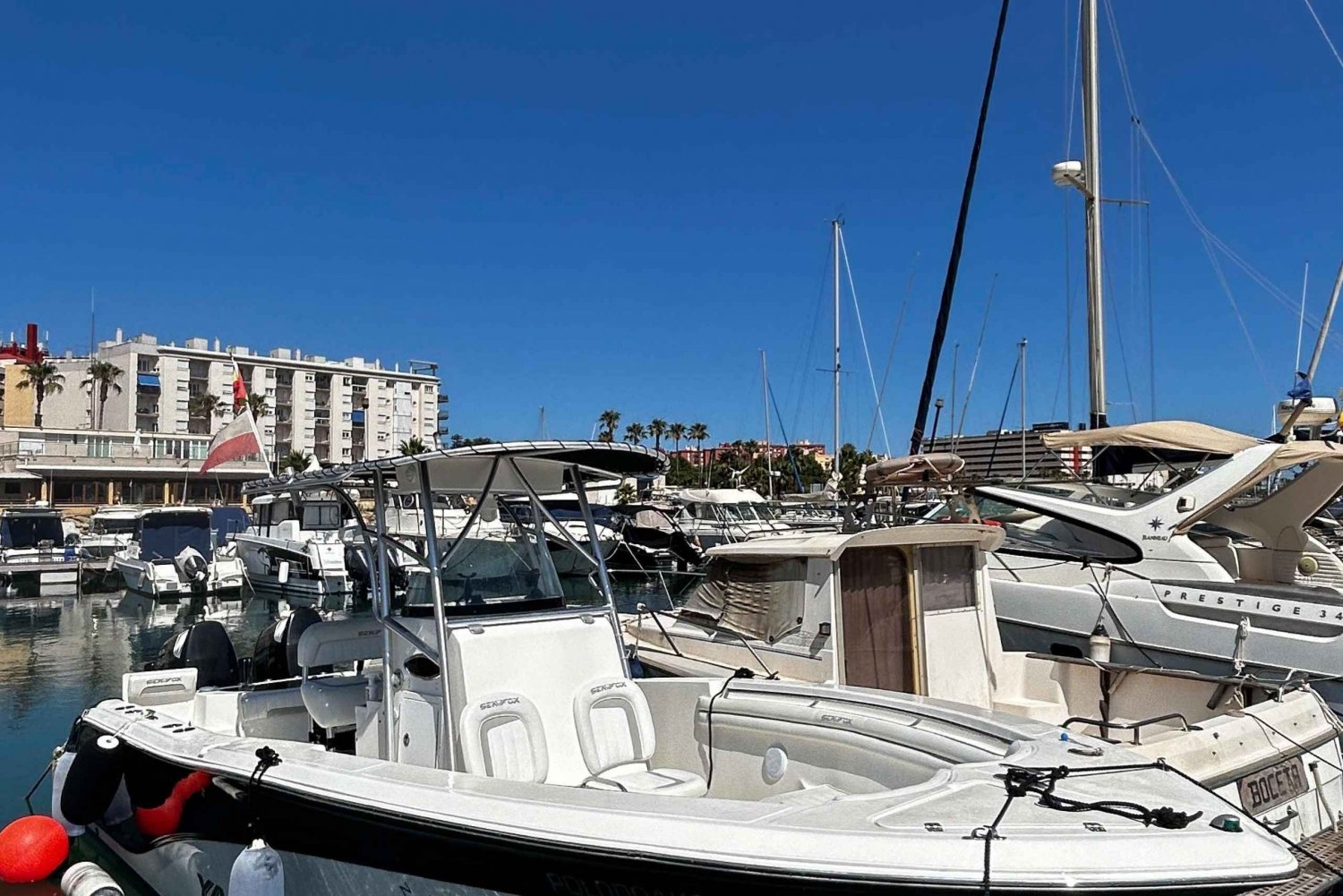 Campo Gibraltar Prywatny czarter - wycieczka łodzią pół dnia