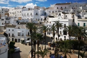 Coastal White Villages and beaches private tour from Seville