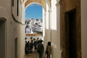 Witte dorpen en stranden aan de kust privétour vanuit Sevilla