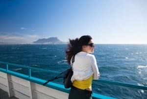 Costa de la Luz: Gibraltar Day Trip & Dolphin Watching Tour