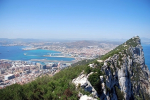 Costa del Sol : Excursion d'une journée à Gibraltar avec visite facultative des rochers
