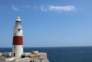 Costa del Sol: Escursione di un giorno a Gibilterra con tour opzionale della Rocca