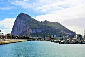 Costa del Sol: Escursione di un giorno a Gibilterra con tour opzionale della Rocca
