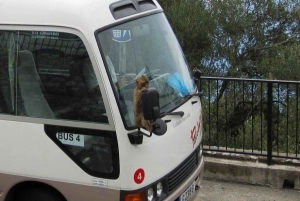 Gibraltar: Rock of Gibraltar Tour