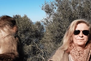 Shopping i Gibraltar: Fra Málaga og Costa del Sol