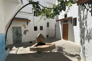 Day trip from Gibraltar to Morocco All Inclusive
