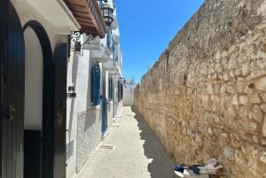 Day trip from Gibraltar to Morocco All Inclusive