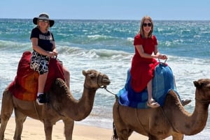 Day trip from Gibraltar to Morocco All Inclusive