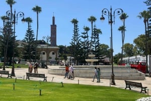 Day trip from Gibraltar to Morocco All Inclusive