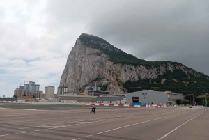 Fra Benalmadena: Dagstur til Gibraltar