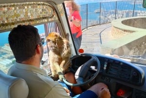 Из бухты Кадиса: однодневная поездка в Гибралтар с экскурсией по Скале