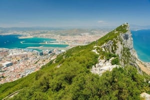 Von der Bucht von Cádiz: Tour zur Delfinbeobachtung in Gibraltar