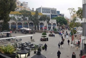 Fra Cadiz/El Puerto/Jerez: Sightseeing-dagstur til Gibraltar