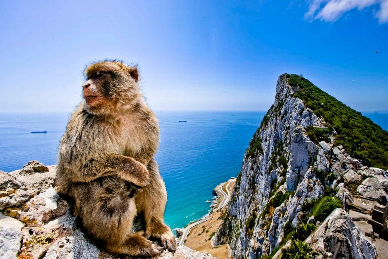 Depuis Cadix : Excursion privée d'une journée à Gibraltar et visite de Vejer