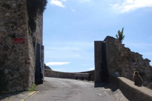 From Malaga and Costa del Sol: Gibraltar Tour