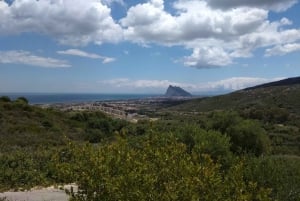 From Costa Del Sol: Bus to Gibraltar