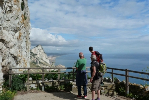 From Malaga and Costa del Sol: Gibraltar Tour