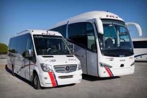 From Costa Del Sol: Bus to Gibraltar