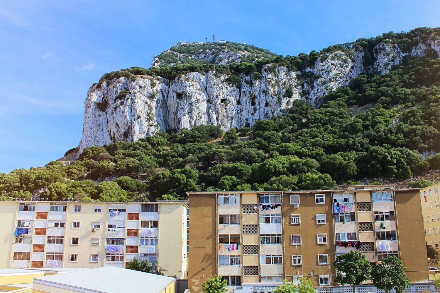 From Costa del Sol: Day Trip to Gibraltar with Guided Tour