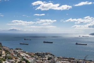 Fra Costa del Sol: Gibraltar dagstur med fritid