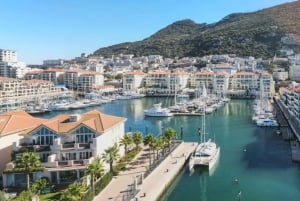 Fra Costa del Sol: Gibraltar dagstur med fritid
