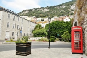Fra Costa del Sol: Gibraltar dagstur med fritid