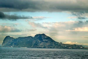 Från Costa del Sol: Gibraltar Dolphin Watching by Boat