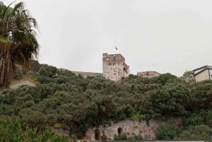 Depuis Fuengirola : Excursion à Gibraltar