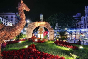 From Gibraltar & Costa del Sol: Malaga Christmas Lights Tour